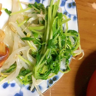 もやしと豆苗のナムル